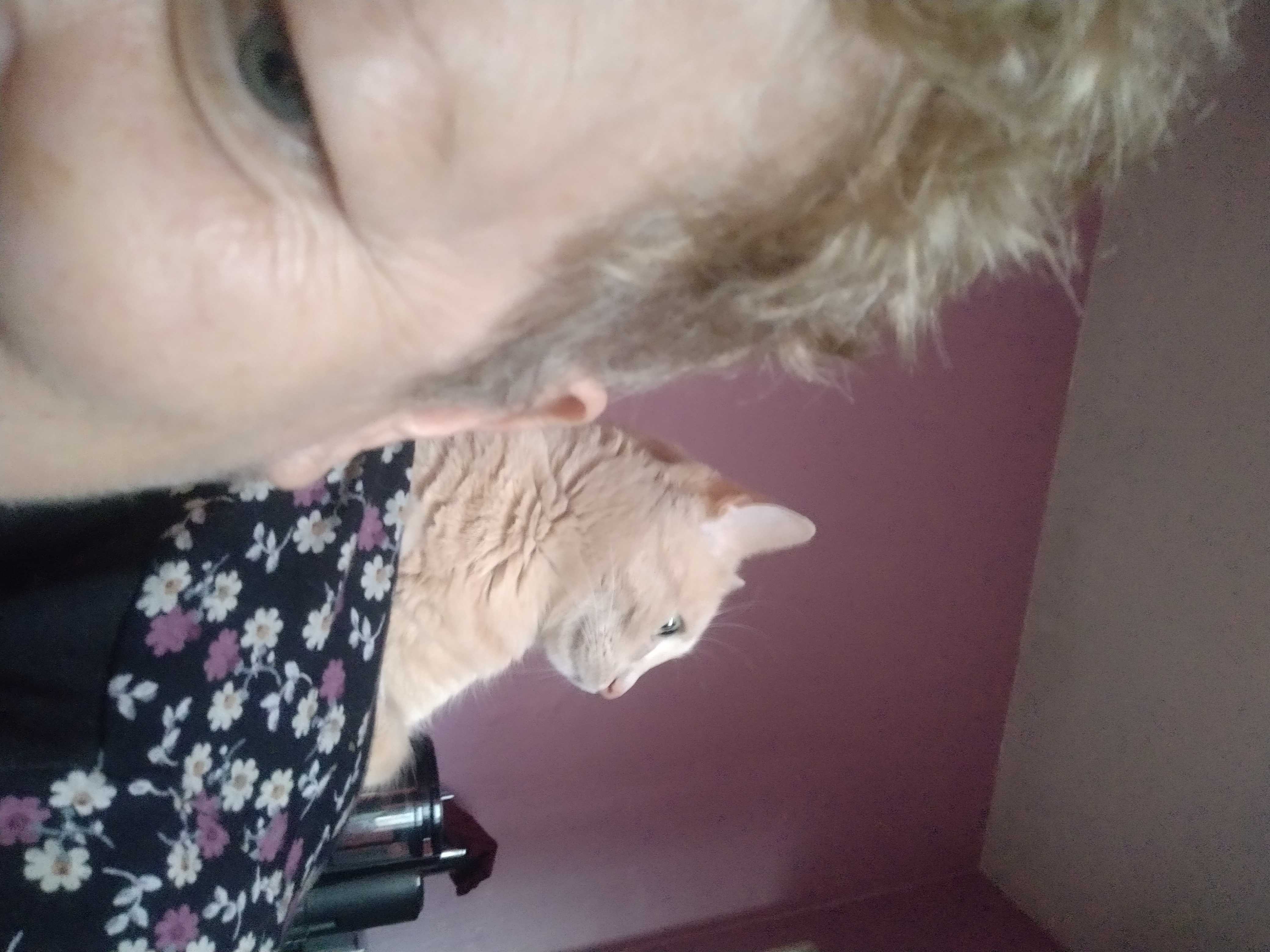 Недялка Петрова Profile Picture