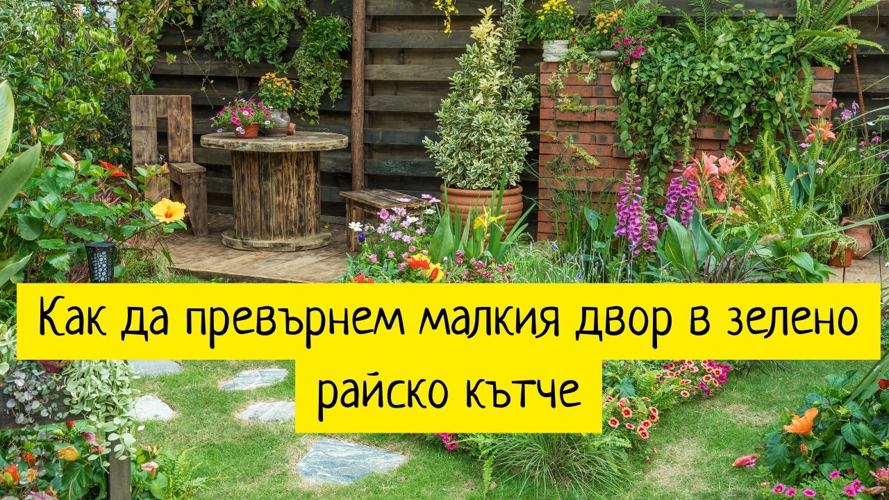 Как да превърнем малкия двор в зелено райско кътче - Notepad