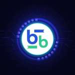Bitbse Exchange Profile Picture
