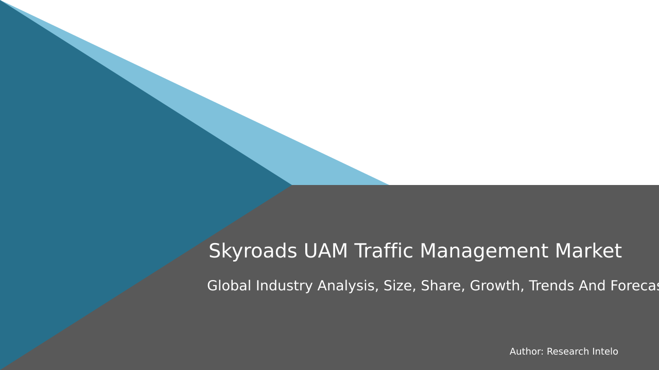 Skyroads UAM Traffic Management Market Research Report 2033